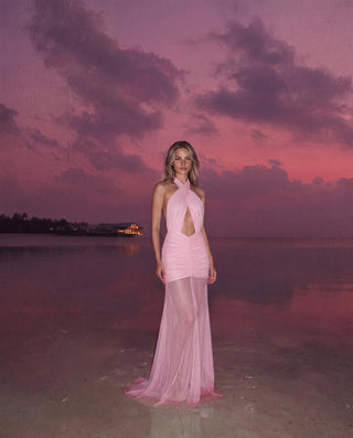 Forbidden Fruit Dress in Baby Pink