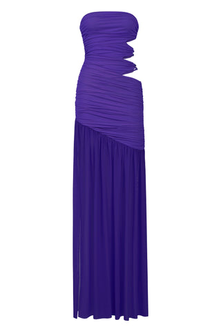 Toxic Tango Dress in Purple